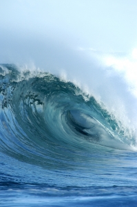surfclicks